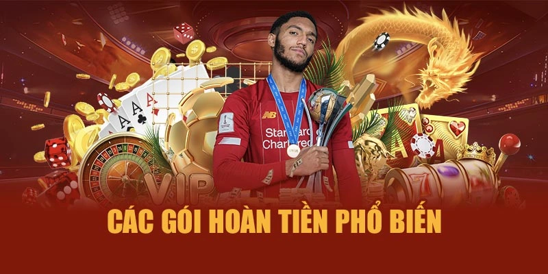Các gói hoàn tiền phổ biến