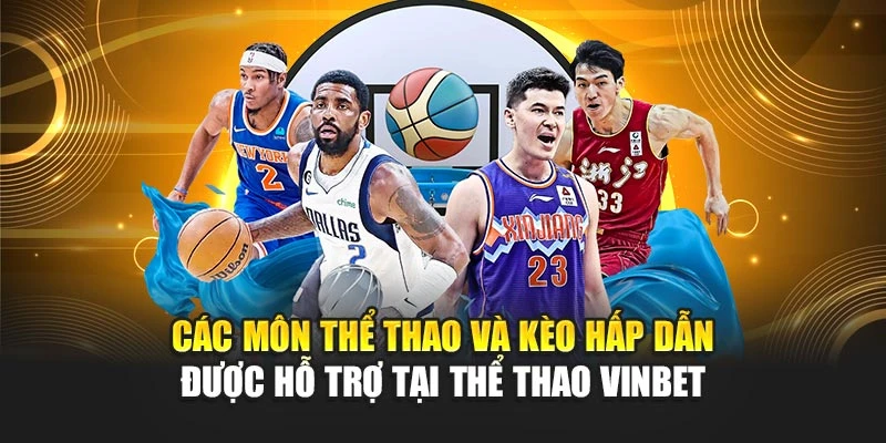 Các môn thể thao và kèo hấp dẫn được hỗ trợ tại thể thao Vinbet