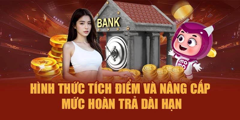 Hình thức tích điểm và nâng cấp mức hoàn trả dài hạn