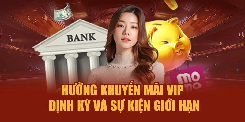 Hưởng khuyến mãi VIP định kỳ và sự kiện giới hạn