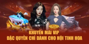 Khuyến Mãi Vip – Đặc Quyền Chỉ Dành Cho Hội Tinh Hoa