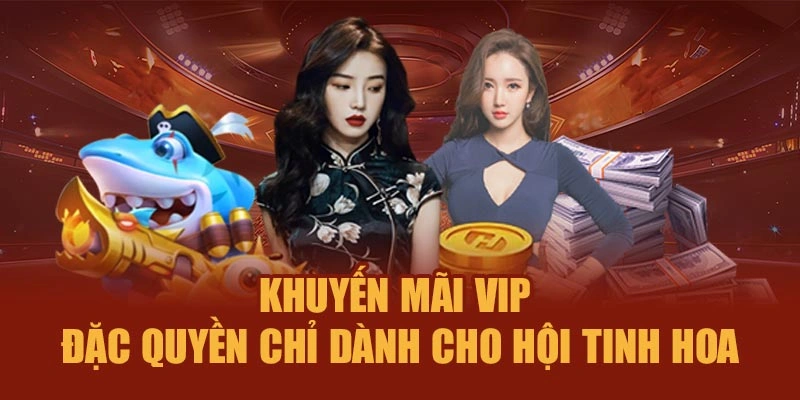 Khuyến Mãi Vip – Đặc Quyền Chỉ Dành Cho Hội Tinh Hoa